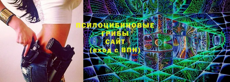 mega маркетплейс  Буй  Псилоцибиновые грибы Psilocybine cubensis 